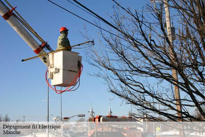 Dégagement fil Electrique 50 Manche  Renard 50