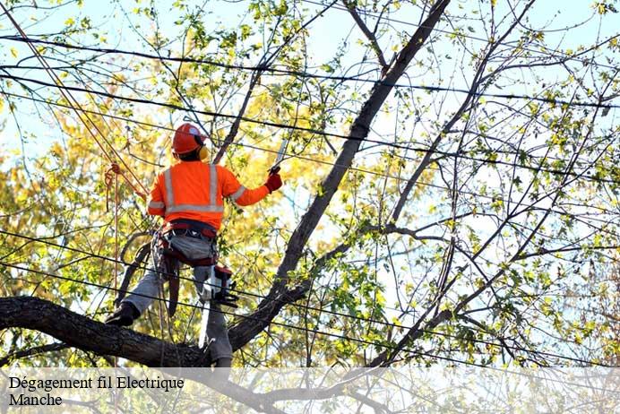 Dégagement fil Electrique 50 Manche  Renard 50