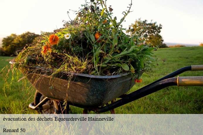 évacuation des déchets  equeurdreville-hainneville-50120 Renard 50