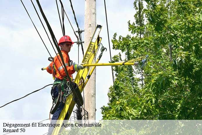 Dégagement fil Electrique  agon-coutainville-50230 Renard 50