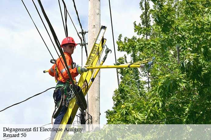 Dégagement fil Electrique  amigny-50620 Renard 50