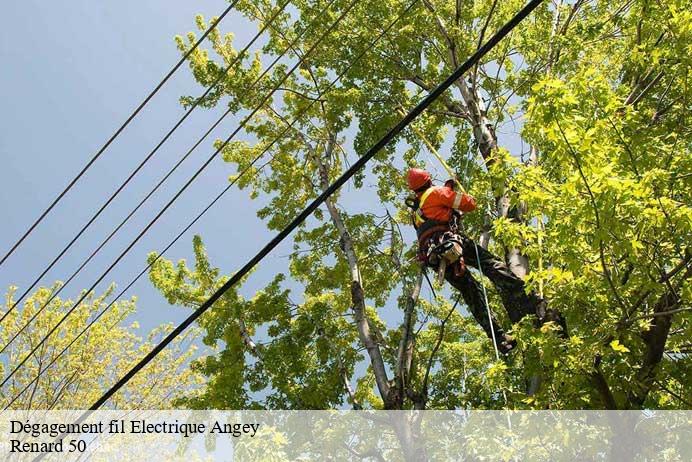 Dégagement fil Electrique  angey-50530 Renard 50