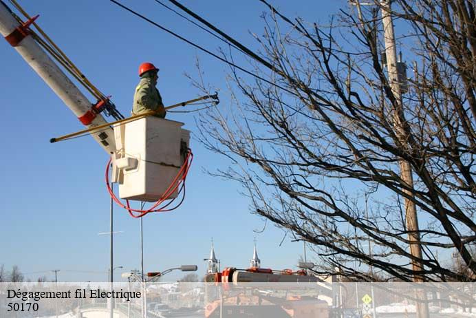 Dégagement fil Electrique  aucey-la-plaine-50170 Renard 50