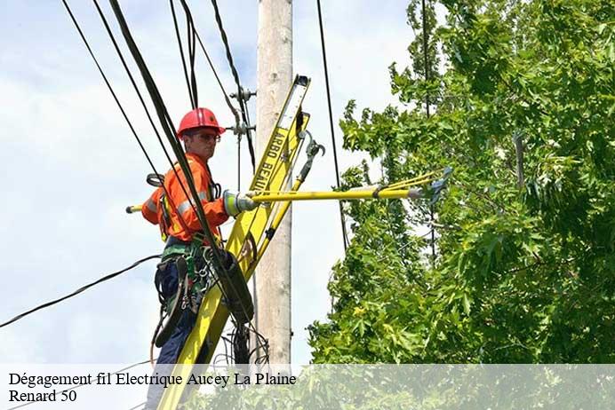 Dégagement fil Electrique  aucey-la-plaine-50170 Renard 50
