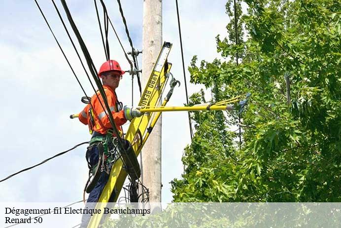 Dégagement fil Electrique  beauchamps-50320 Renard 50