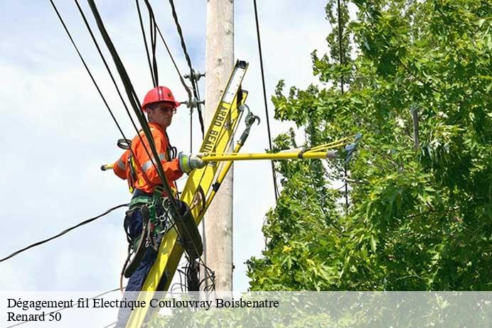 Dégagement fil Electrique  coulouvray-boisbenatre-50670 Renard 50