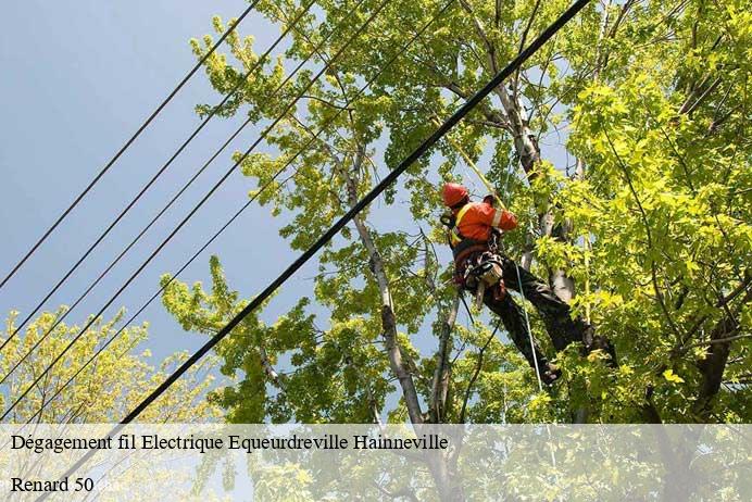 Dégagement fil Electrique  equeurdreville-hainneville-50120 Renard 50