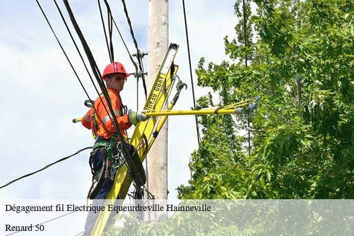 Dégagement fil Electrique  equeurdreville-hainneville-50120 Renard 50