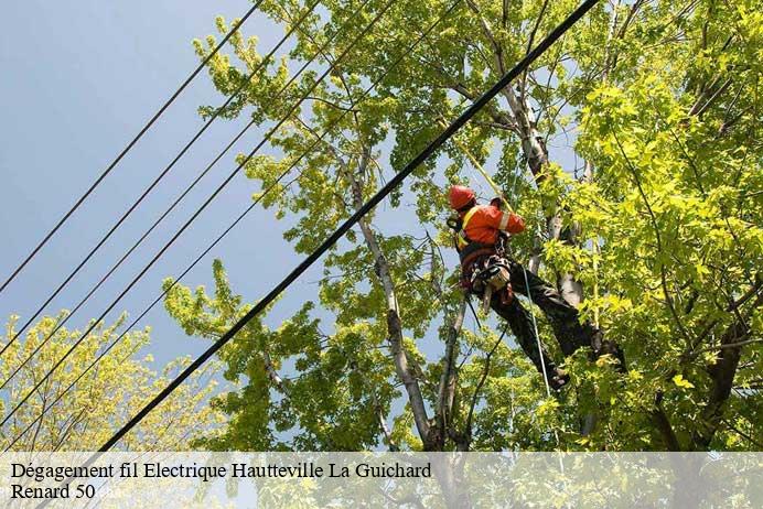 Dégagement fil Electrique  hautteville-la-guichard-50570 Renard 50