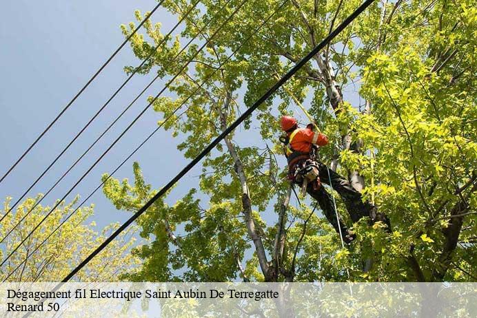 Dégagement fil Electrique  saint-aubin-de-terregatte-50111 Renard 50