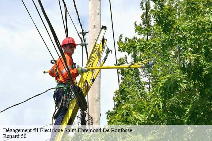 Dégagement fil Electrique  saint-ebremond-de-bonfosse-50750 Renard 50