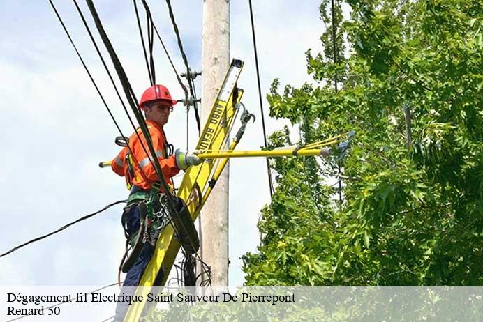 Dégagement fil Electrique  saint-sauveur-de-pierrepont-50250 Renard 50