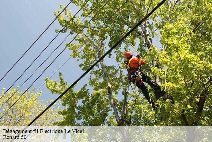 Dégagement fil Electrique  le-vicel-50760 Renard 50