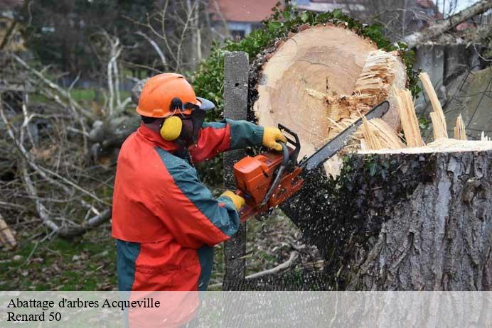 Abattage d'arbres  acqueville-50440 Renard 50