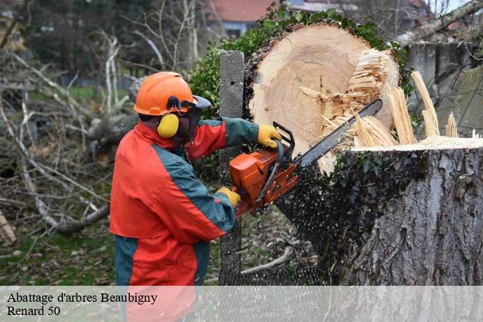 Abattage d'arbres  beaubigny-50270 Renard 50