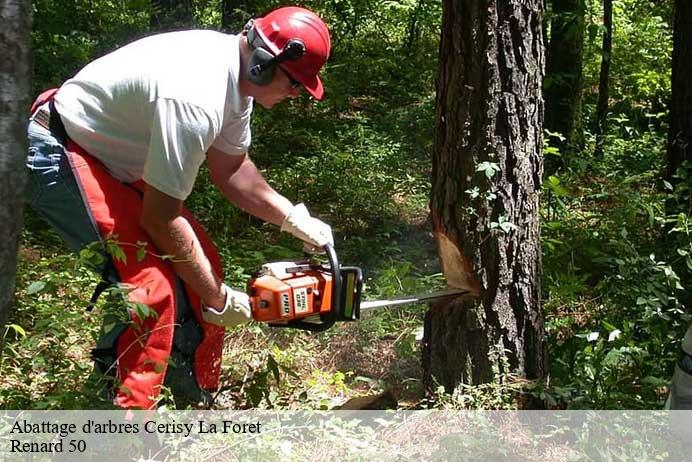 Abattage d'arbres  cerisy-la-foret-50680 Renard 50