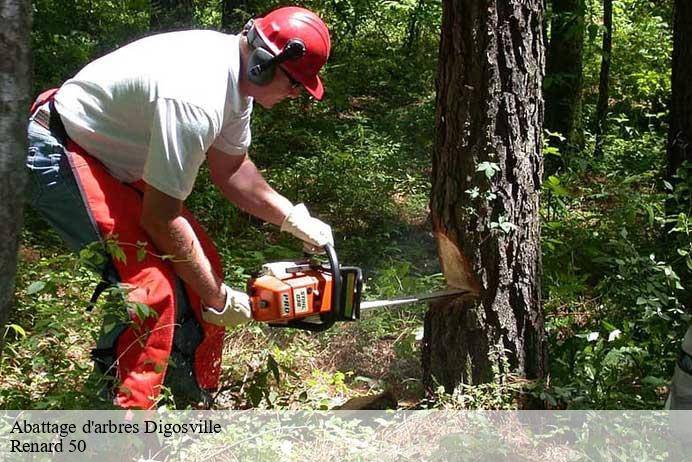 Abattage d'arbres  digosville-50110 Renard 50