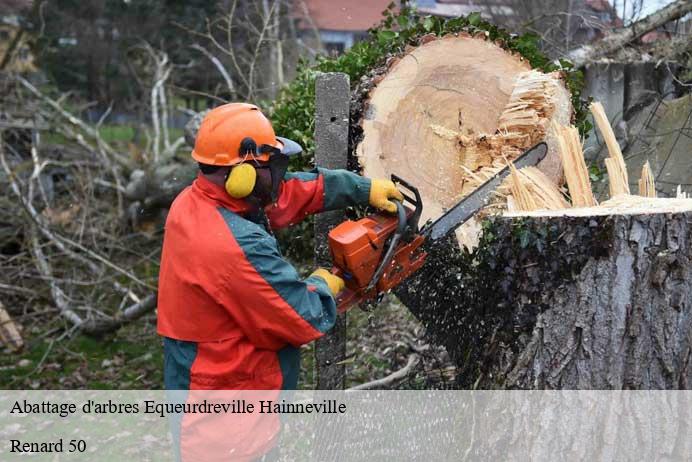 Abattage d'arbres  equeurdreville-hainneville-50120 Renard 50