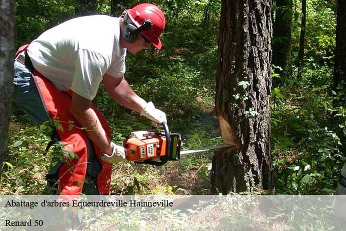 Abattage d'arbres  equeurdreville-hainneville-50120 Renard 50