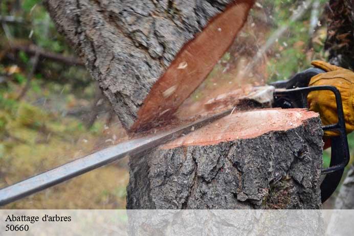 Abattage d'arbres  hyenville-50660 Renard 50