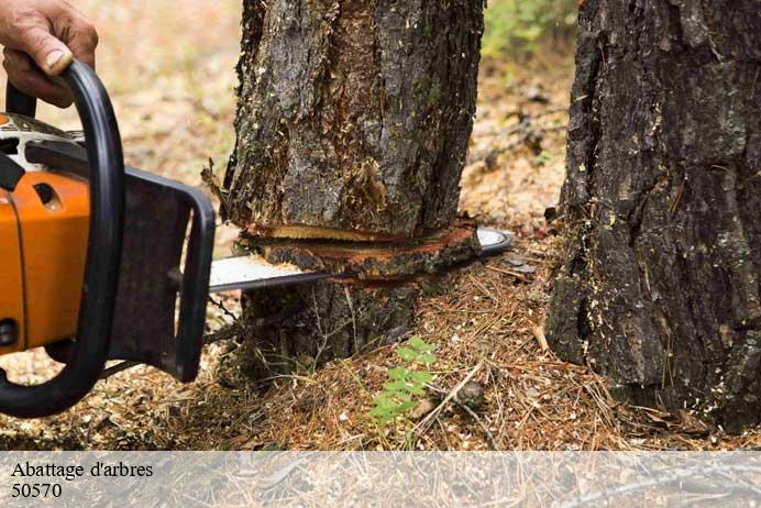 Abattage d'arbres  montreuil-sur-lozon-50570 Renard 50