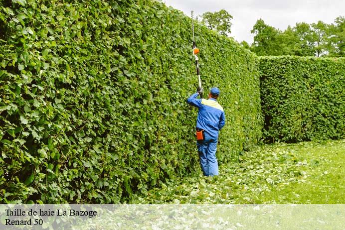 Taille de haie  la-bazoge-50520 Renard 50