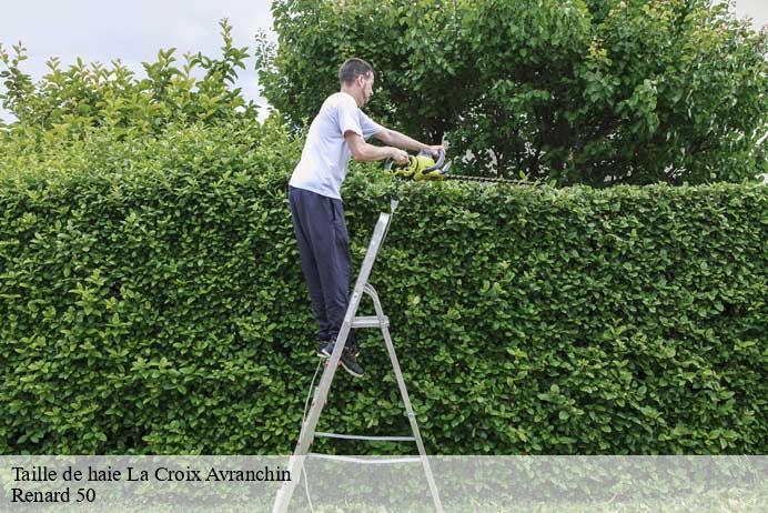 Taille de haie  la-croix-avranchin-50240 Renard 50