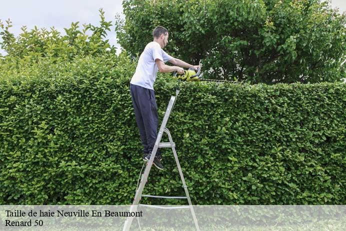 Taille de haie  neuville-en-beaumont-50250 Renard 50