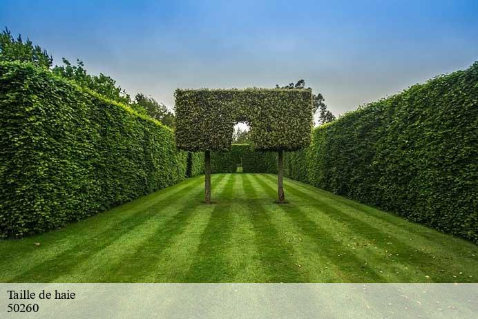 Taille de haie  sottevast-50260 Renard 50