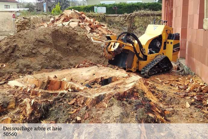 Dessouchage arbre et haie  anneville-sur-mer-50560 Renard 50