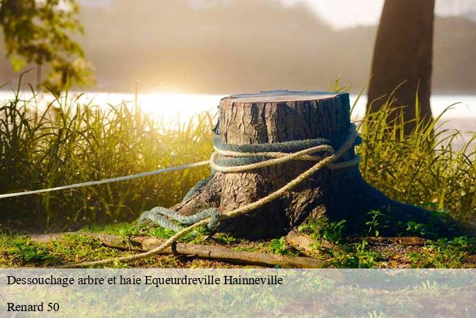 Dessouchage arbre et haie  equeurdreville-hainneville-50120 Renard 50