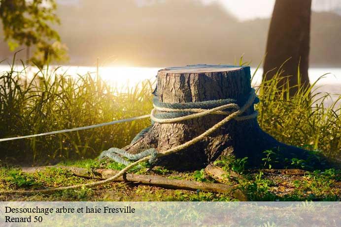 Dessouchage arbre et haie  fresville-50310 Renard 50