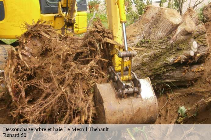 Dessouchage arbre et haie  le-mesnil-thebault-50540 Renard 50