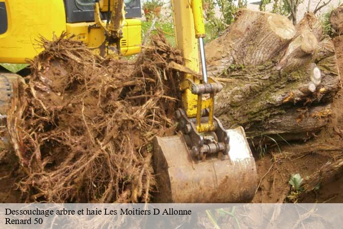 Dessouchage arbre et haie  les-moitiers-d-allonne-50270 Renard 50