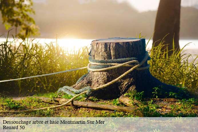Dessouchage arbre et haie  montmartin-sur-mer-50590 Renard 50