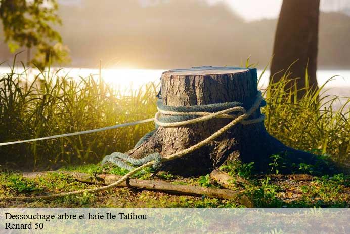 Dessouchage arbre et haie  ile-tatihou-50550 Renard 50