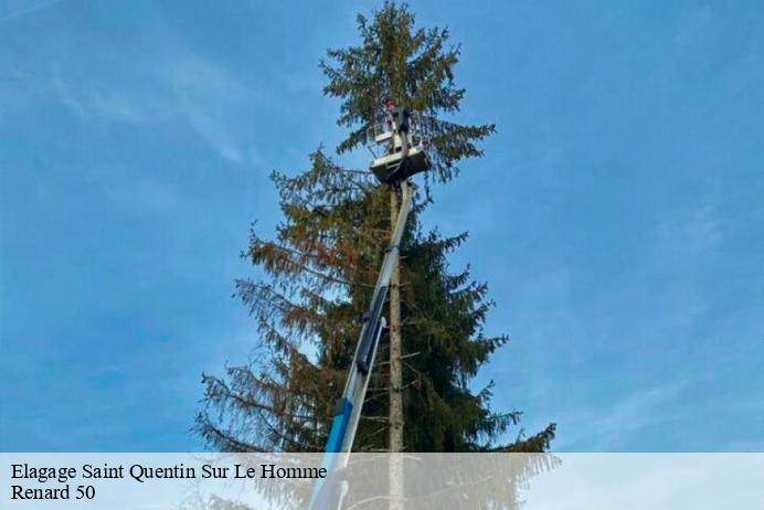 Elagage  saint-quentin-sur-le-homme-50220 Renard 50