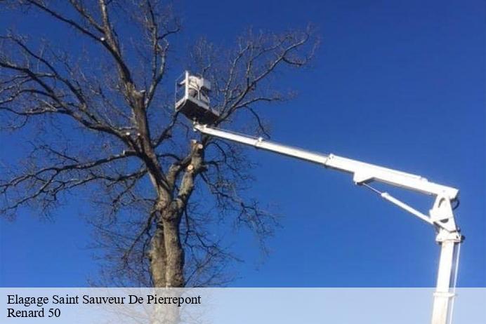 Elagage  saint-sauveur-de-pierrepont-50250 Renard 50