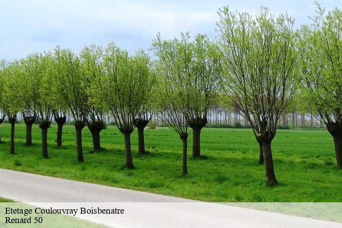 Etetage  coulouvray-boisbenatre-50670 Renard 50