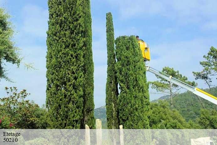 Etetage  montpinchon-50210 Renard 50