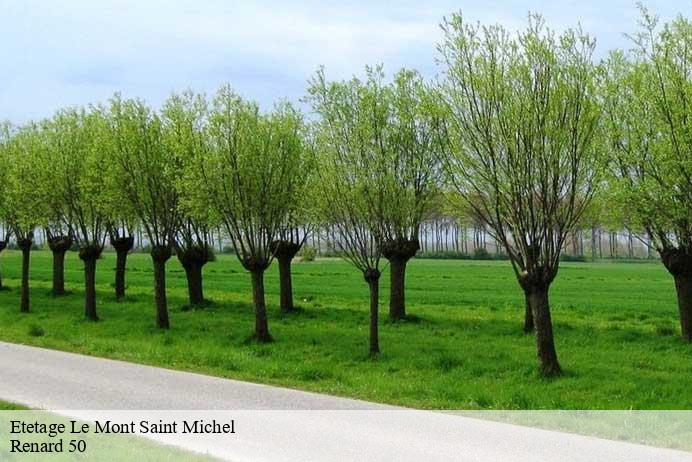 Etetage  le-mont-saint-michel-50170 Renard 50