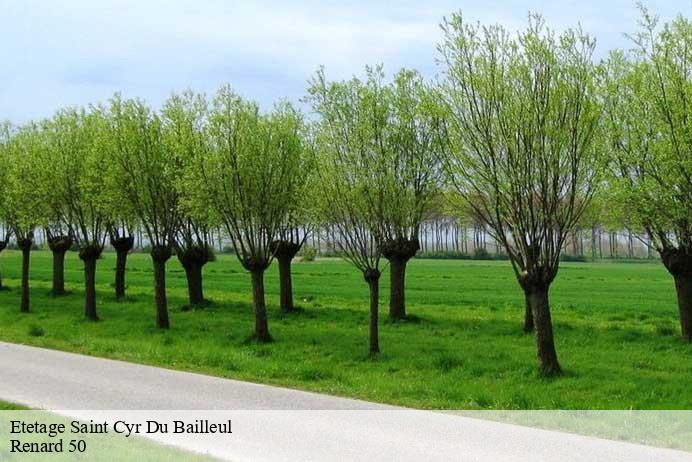 Etetage  saint-cyr-du-bailleul-50720 Renard 50