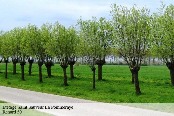 Etetage  saint-sauveur-la-pommeraye-50510 Renard 50