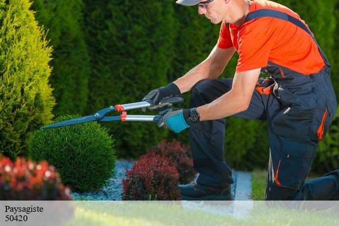 Paysagiste  beuvrigny-50420 Renard 50